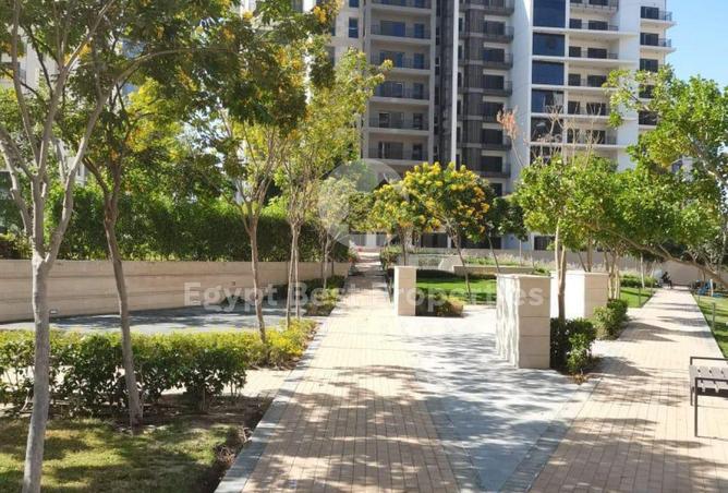 7939637 - صورة العقار 2