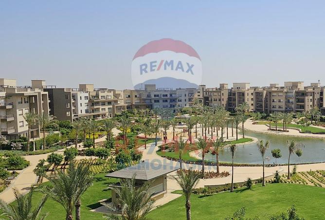 8073856 - صورة العقار 3