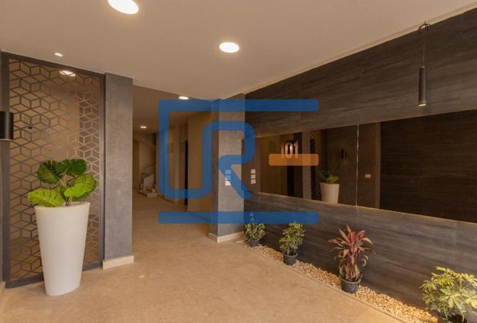 8001162 - Property Image 2