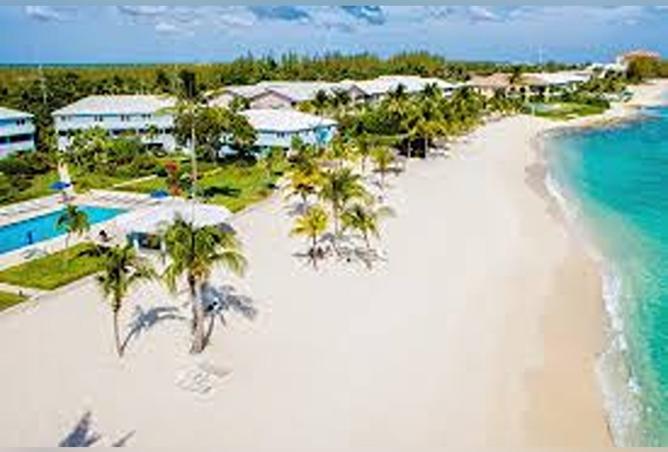 8204137 - صورة العقار 3