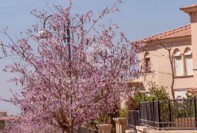 8327731 - صورة العقار 2