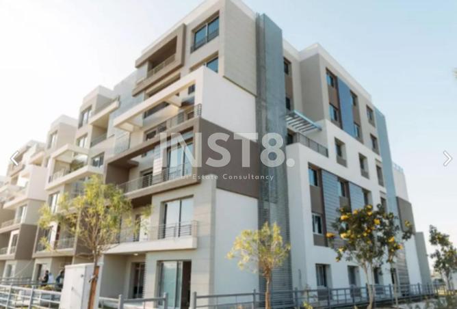 7918279 - Property Image 3