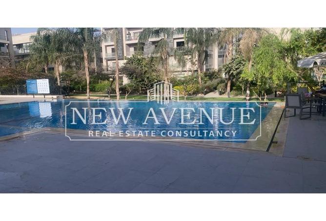 8227021 - Property Image 3