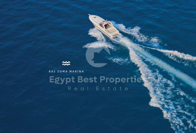 7884218 - Property Image 3