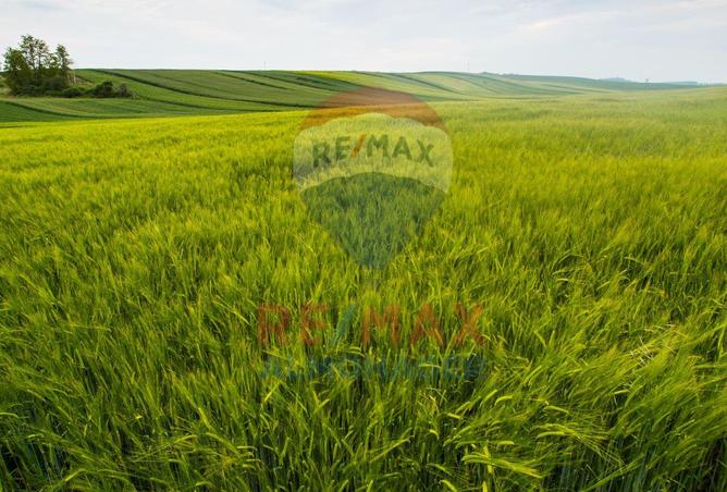 8051353 - صورة العقار 2