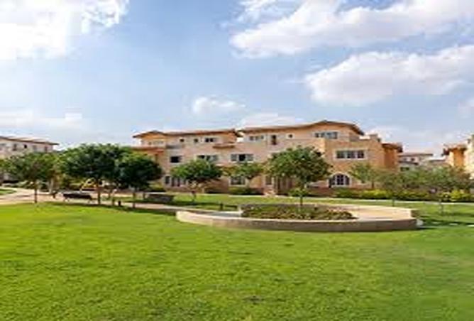7977374 - Property Image 3