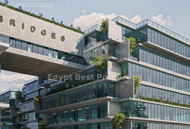 8203937 - Property Image 3