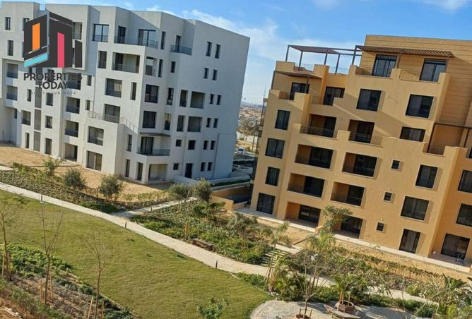 8108250 - Property Image 3