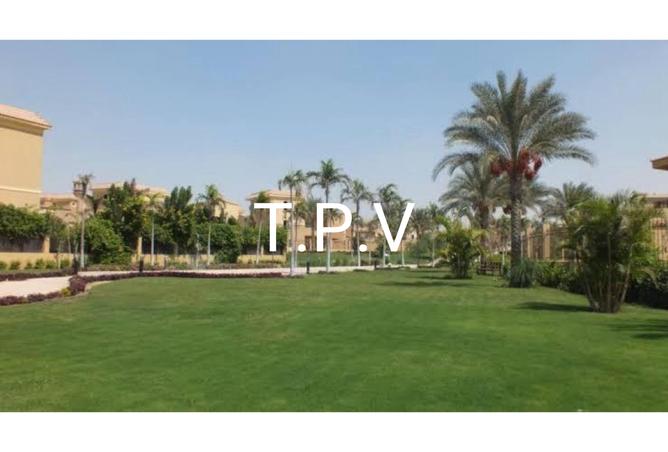 8137255 - Property Image 3