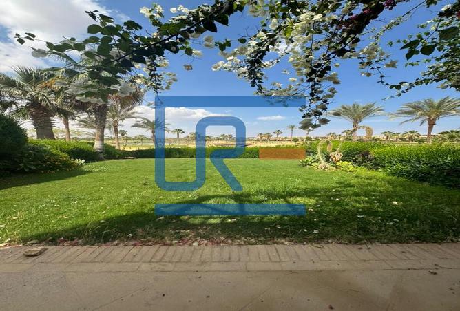 7969464 - صورة العقار 3