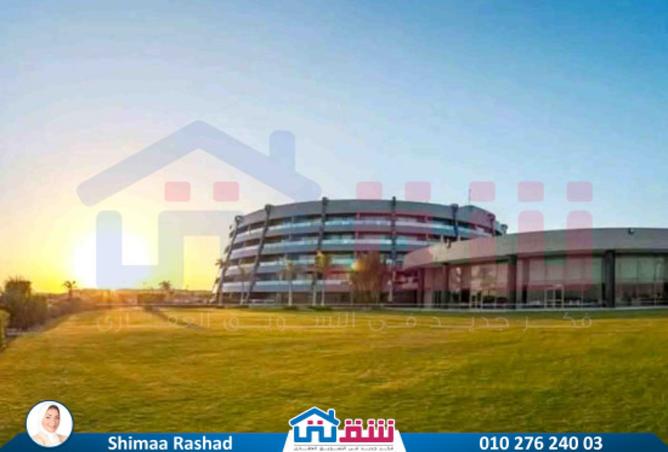 8003869 - Property Image 2