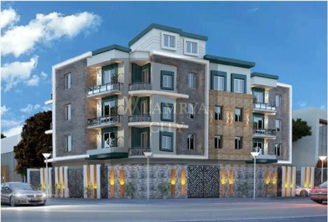 8558956 - Property Image 2