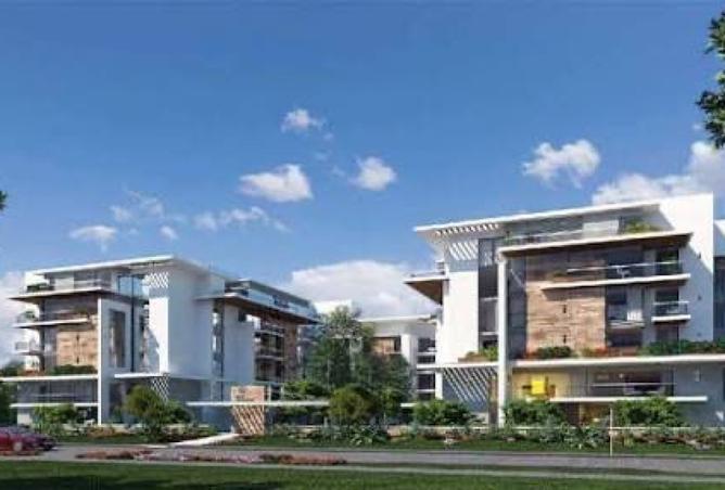 8459363 - Property Image 3