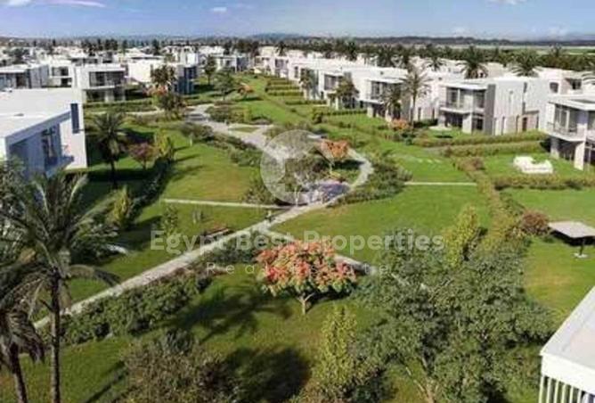 8058783 - Property Image 3