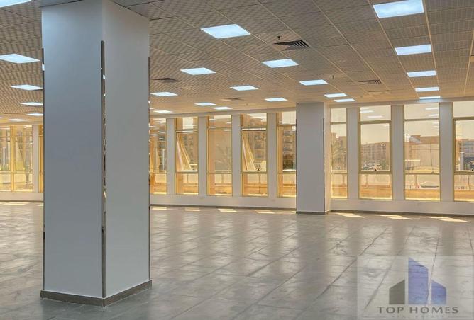 8296703 - Property Image 2