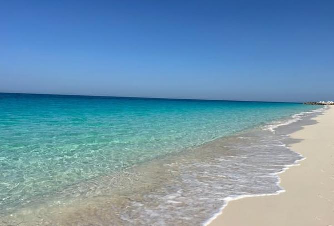 8158235 - صورة العقار 3