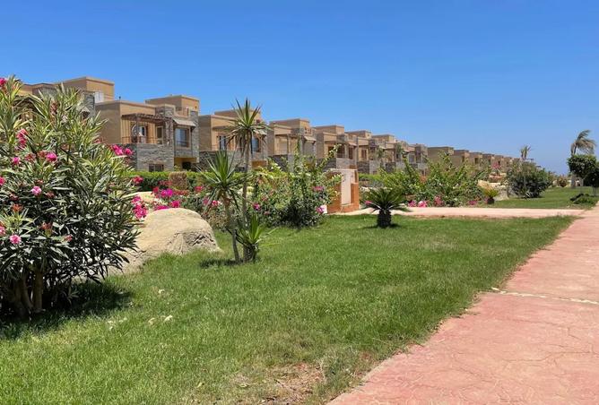 8047832 - صورة العقار 3