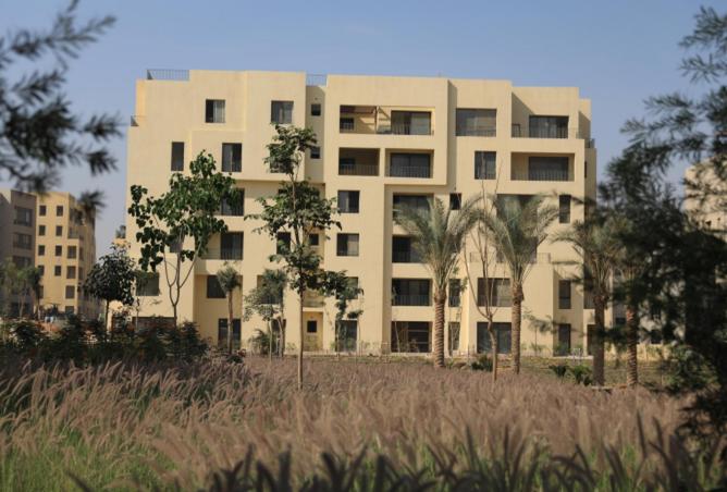 8206858 - Property Image 3