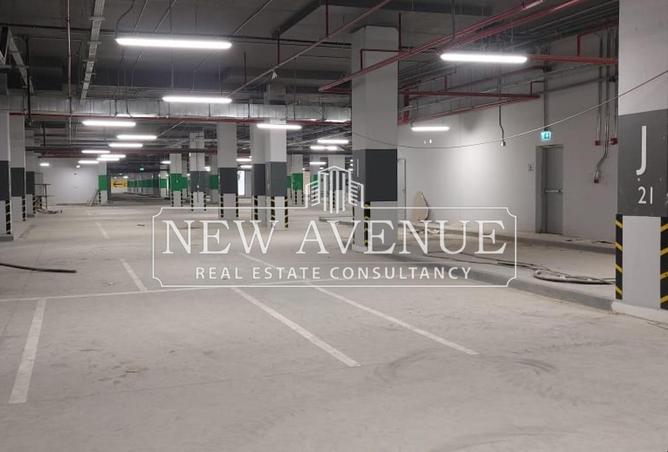 8239227 - Property Image 3