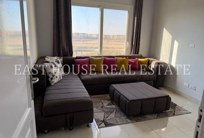 8186355 - Property Image 2