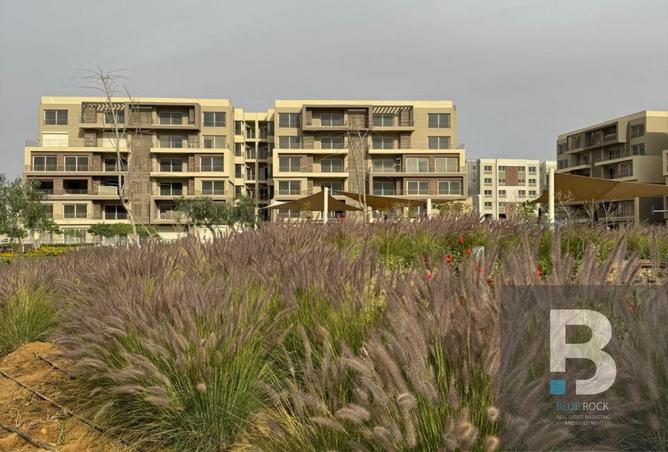 8214825 - Property Image 3