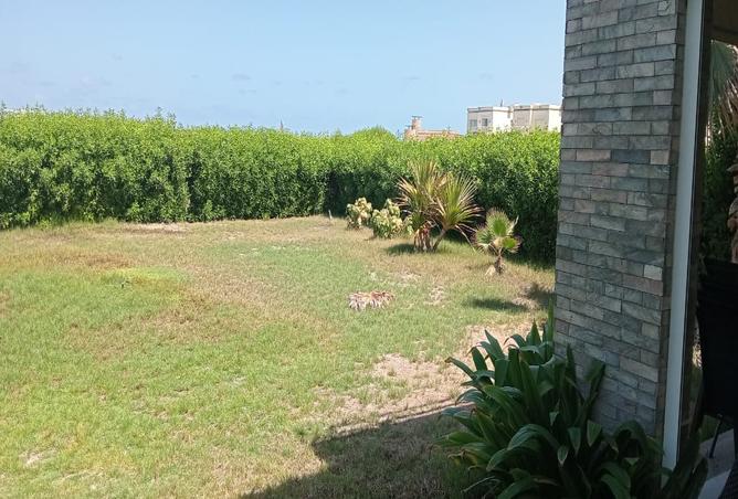 7994214 - صورة العقار 2