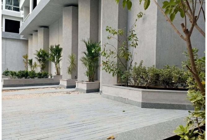 7934487 - صورة العقار 2