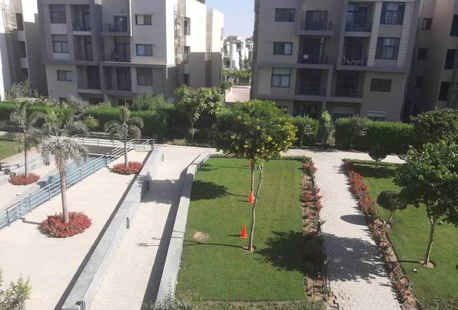 8311018 - صورة العقار 3