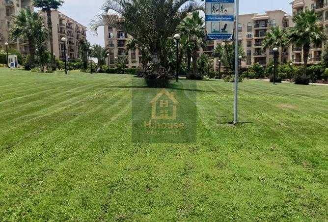 8167129 - Property Image 2