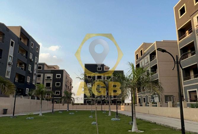 7906356 - Property Image 3
