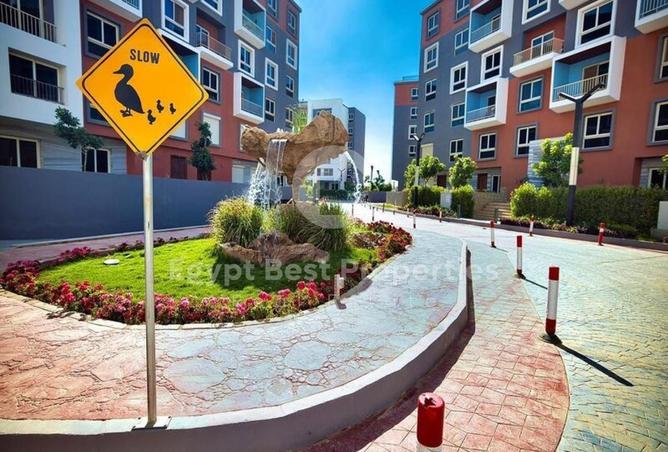 8349787 - Property Image 3