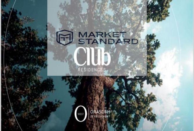 8413484 - صورة العقار 2