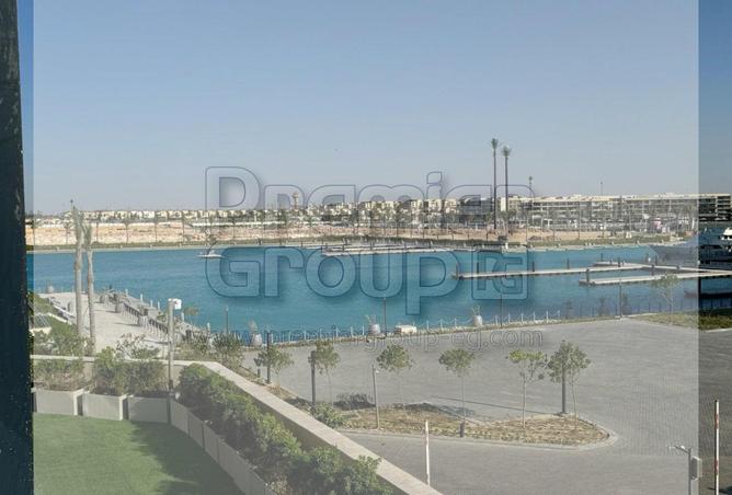 8041577 - الصورة الرئيسية للعقار