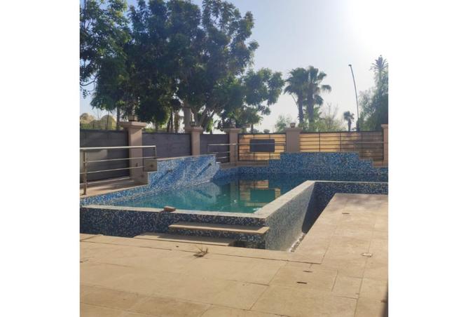 8132826 - Property Image 2