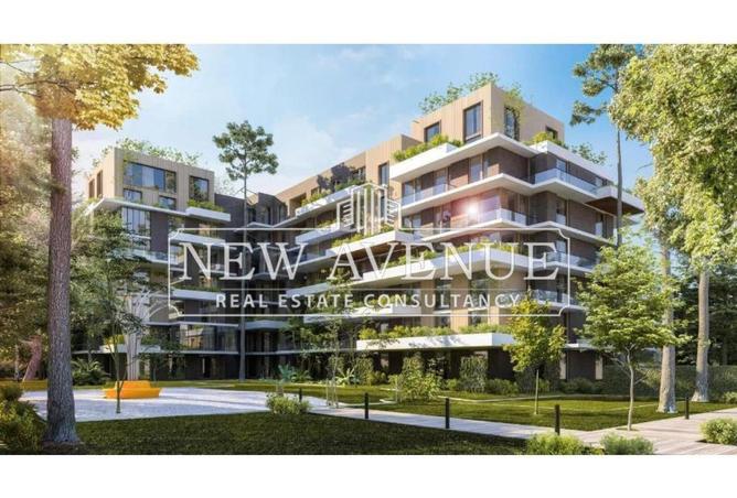 8121202 - Property Image 2