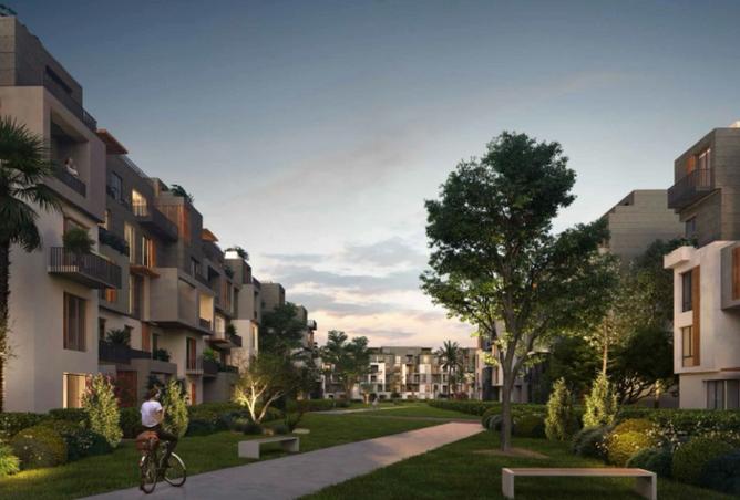 8126608 - Property Image 3