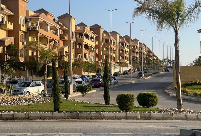7967436 - صورة العقار 2