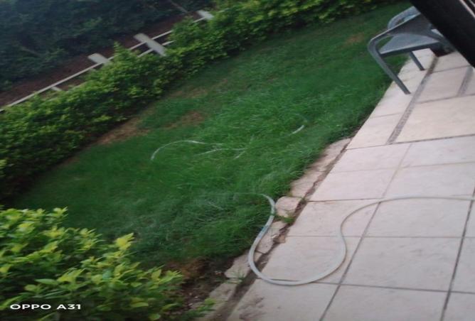 8128350 - صورة العقار 2