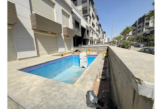 7962385 - Property Image 3