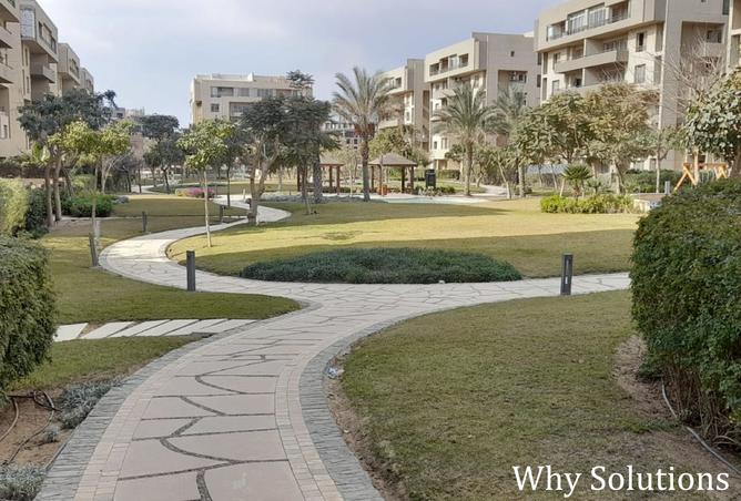 8282290 - Property Image 3