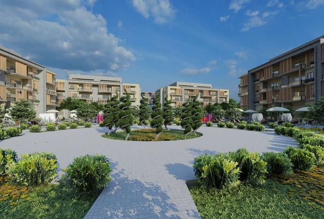 8063904 - Property Image 3