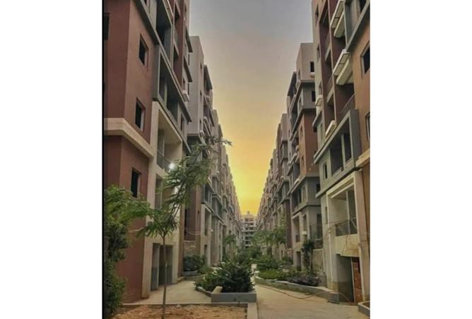 7940907 - صورة العقار 2