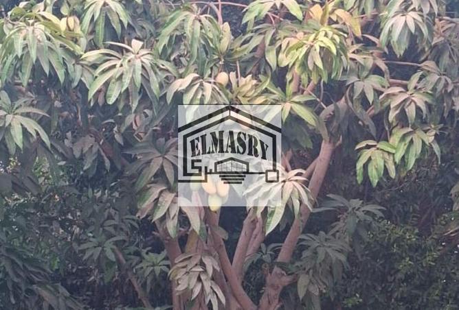 7889638 - صورة العقار 2