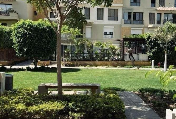 7900329 - صورة العقار 3