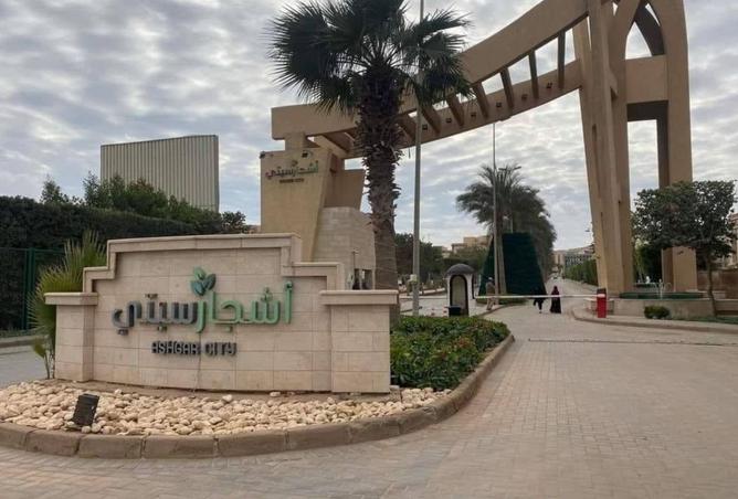 8329046 - Property Image 3