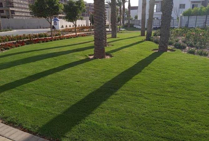 8253527 - صورة العقار 3