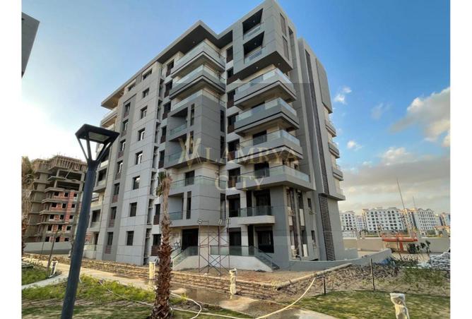 8137372 - Property Image 3