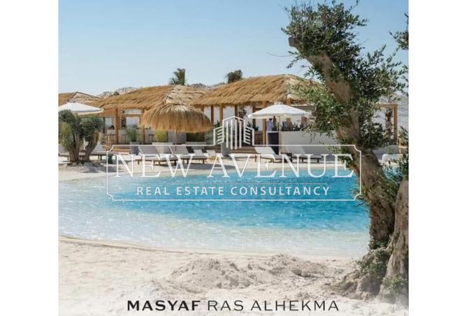 8359426 - Property Image 2