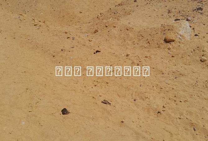 8102325 - الصورة الرئيسية للعقار