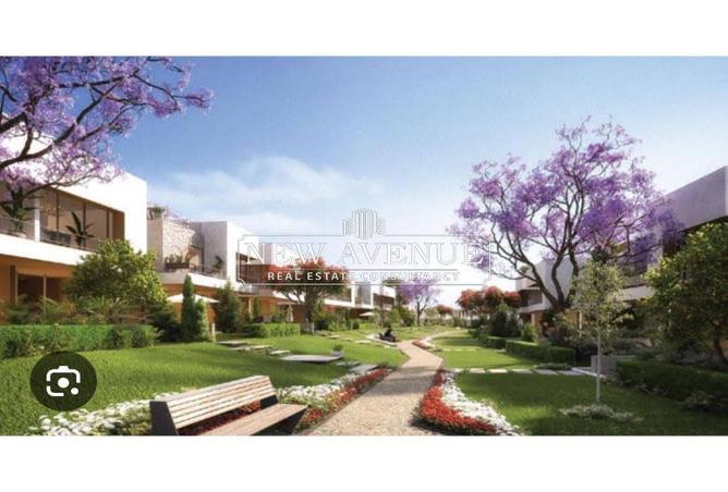 8164081 - صورة العقار 3